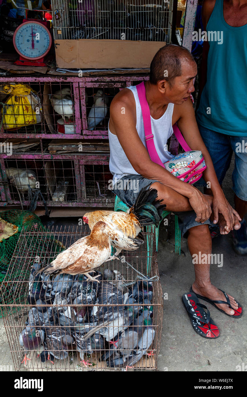 Un uomo la vendita di volatili vivi al mercato del carbonio, Cebu City Cebu, Filippine Foto Stock