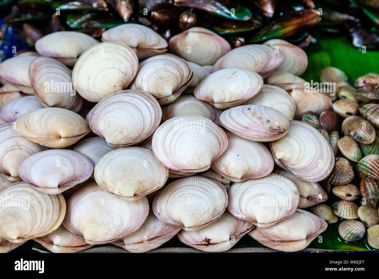 Piatti a base di frutti di mare freschi per la vendita al mercato del carbonio, Cebu City Cebu, Filippine Foto Stock