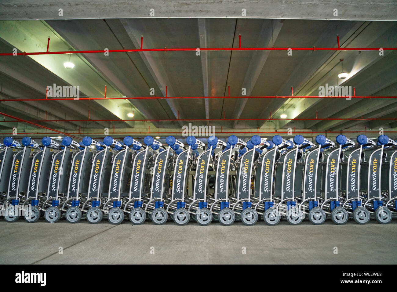 Carrelli dall'Aeroporto Dall'Aeroporto di Miami Foto Stock