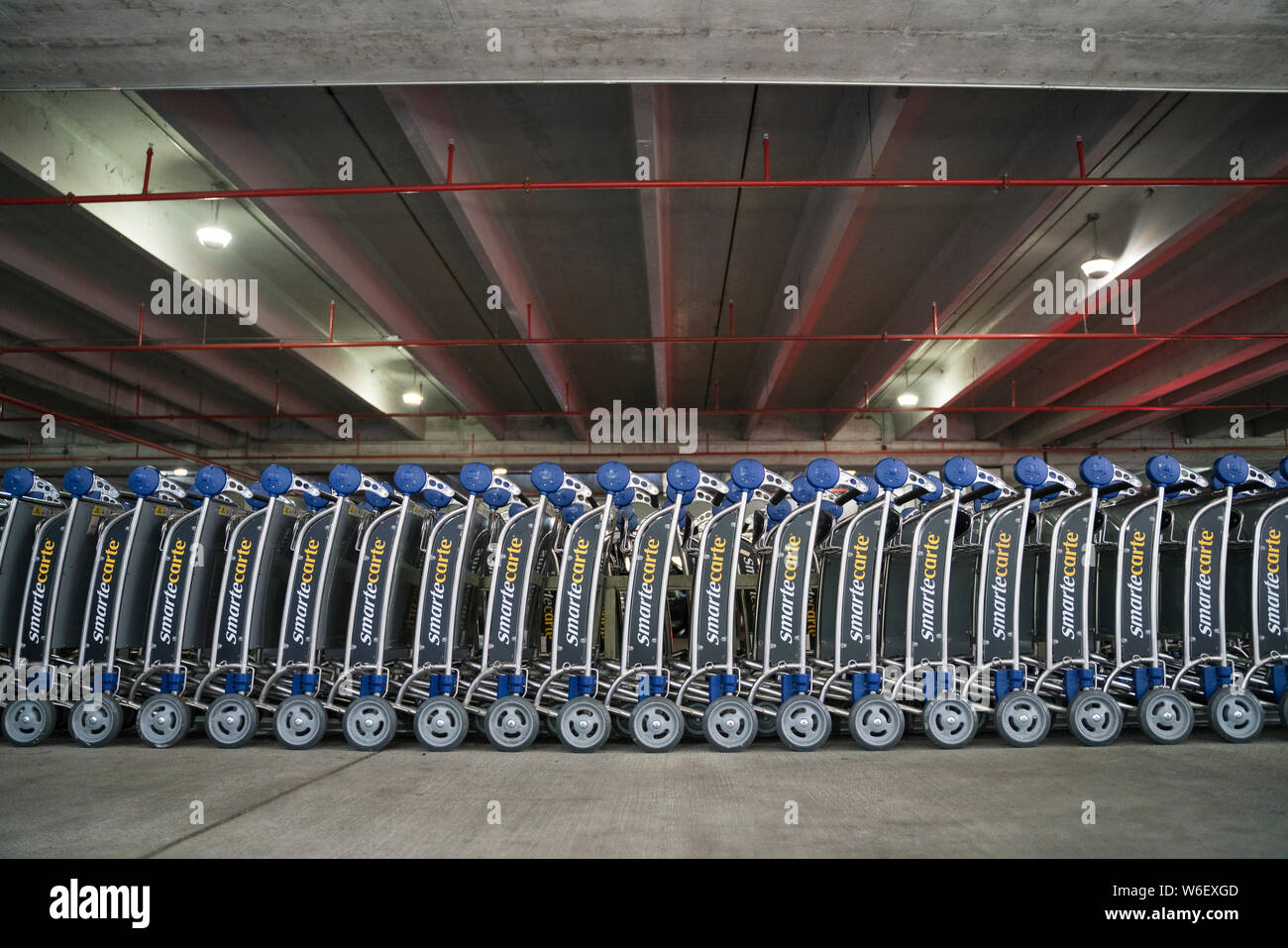 Carrelli per bagagli all'Aeroporto di Miami Foto Stock