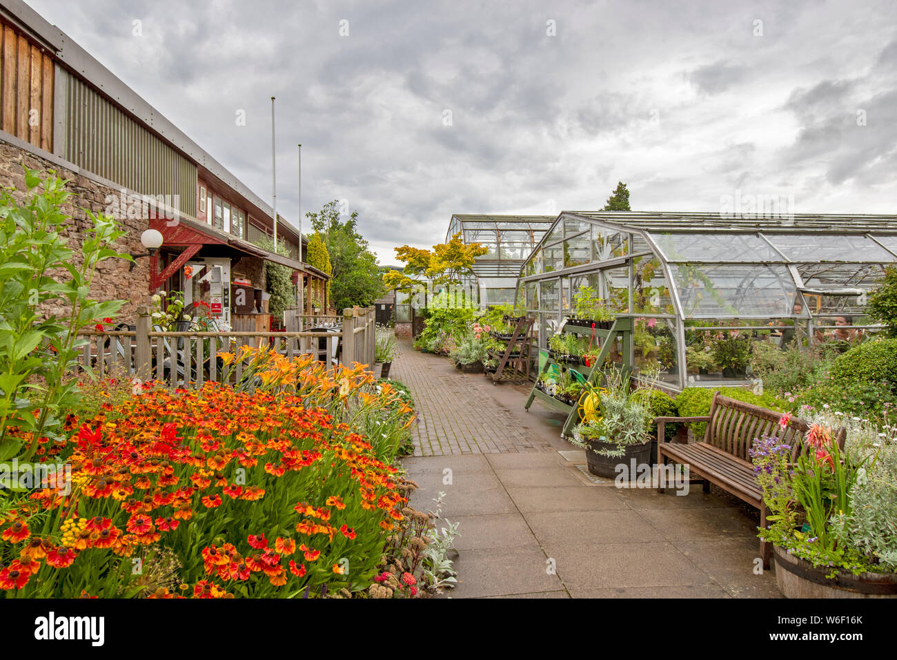 INVERNESS Scozia il giardino botanico bar o caffetteria edificio di fronte grandi serre Foto Stock