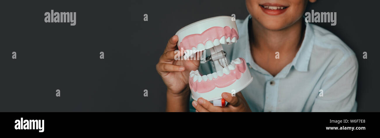 Modello di denti nel bambino le mani di close-up. Odontostomatologia e odontoiatria pediatrica. Foto Stock