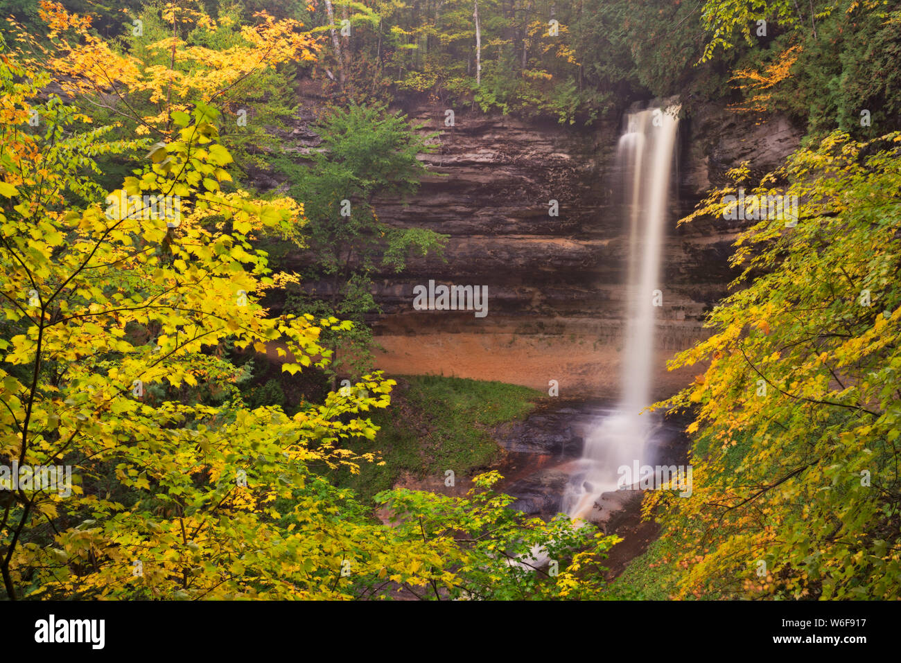 Il fiume Tahquemenon con il suo color ambra da acqua che si verificano naturalmente trovato tannino cascades over Tahqemenon cade nella Penisola Superiore del Michigan.. Foto Stock