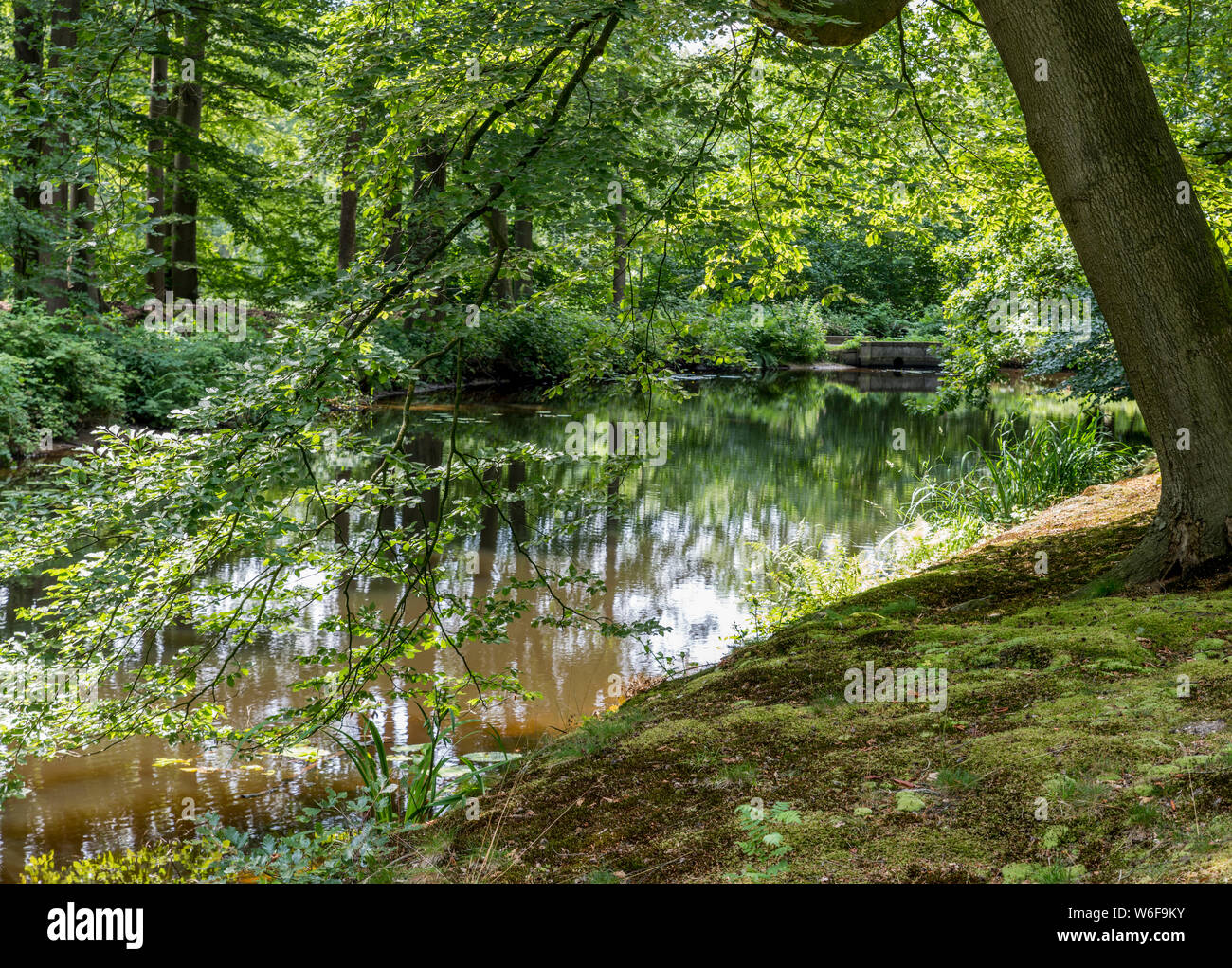 Grande giardino con prato verde e il percorso a piedi con un piccolo fiume crossing Foto Stock