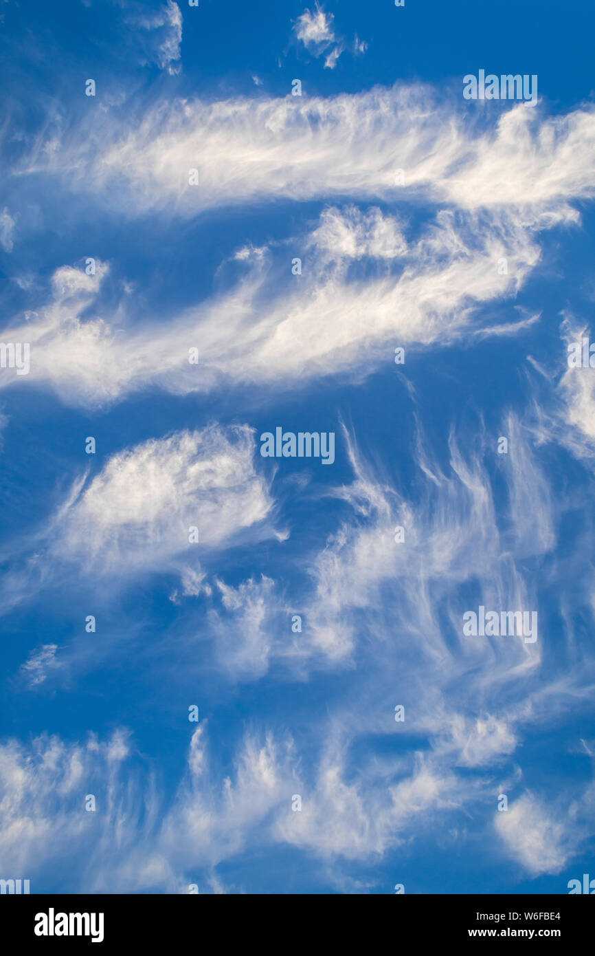 Alta cirrus nuvole contro il cielo blu. Foto Stock