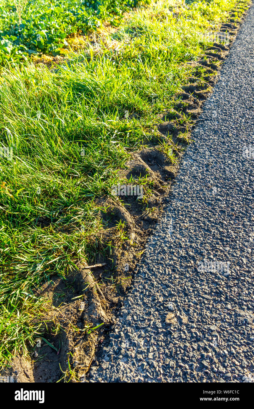 Il pneumatico del trattore le tracce sulla strada orlo - Francia. Foto Stock