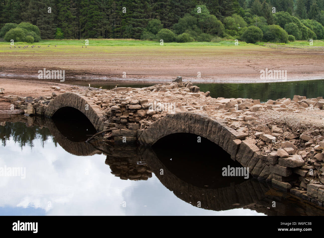 Llwyn sul serbatoio, South Wales, Regno Unito. 1 agosto, 2019. Regno Unito: meteo con la continua ondata di caldo nelle scorse settimane, il serbatoio ha impoverito e scoperto un vecchio ponte normalmente subacquea, Pont Yr Daf. Essa era in uso prima che il serbatoio per la costruzione. Credito: Andrew Bartlett/Alamy Live News Foto Stock