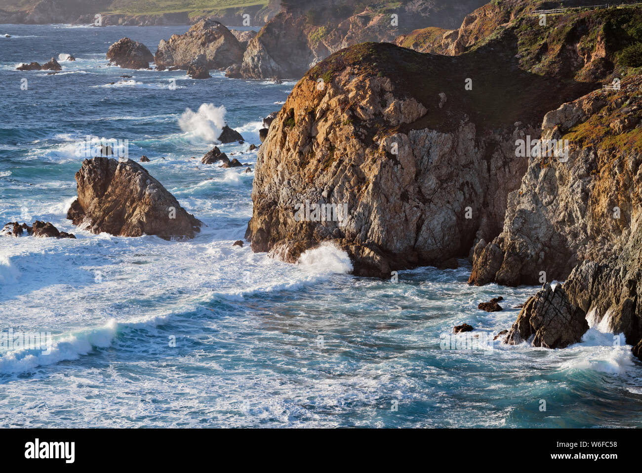 Sole primaverile su California il Monterey Bay sulla penisola di Monterey con orgoglio di fioritura e di Madera. Foto Stock