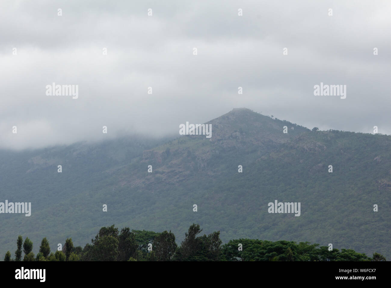 Bellissima vista della gamma della montagna di riserva Talamal foresta, Hasanur, Tamil Nadu - lo stato di Karnataka frontiera, India Foto Stock