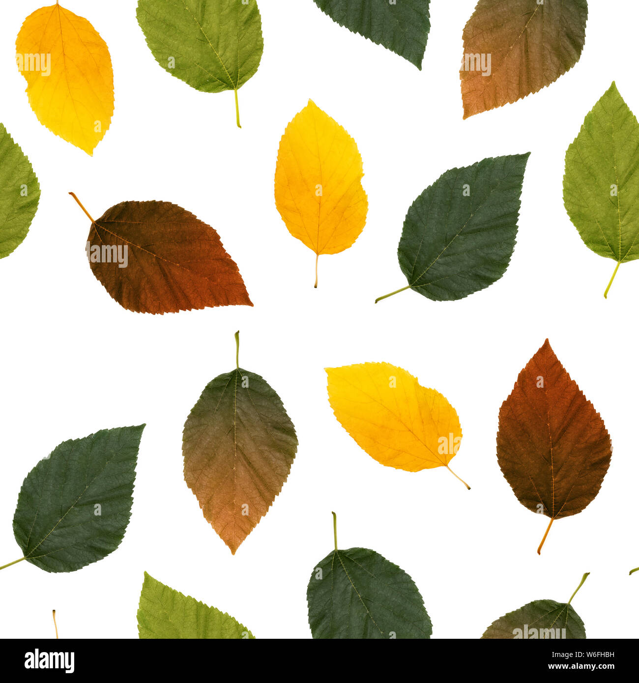 Foglie di autunno su sfondo bianco. Seamless pattern, composizione astratta Foto Stock