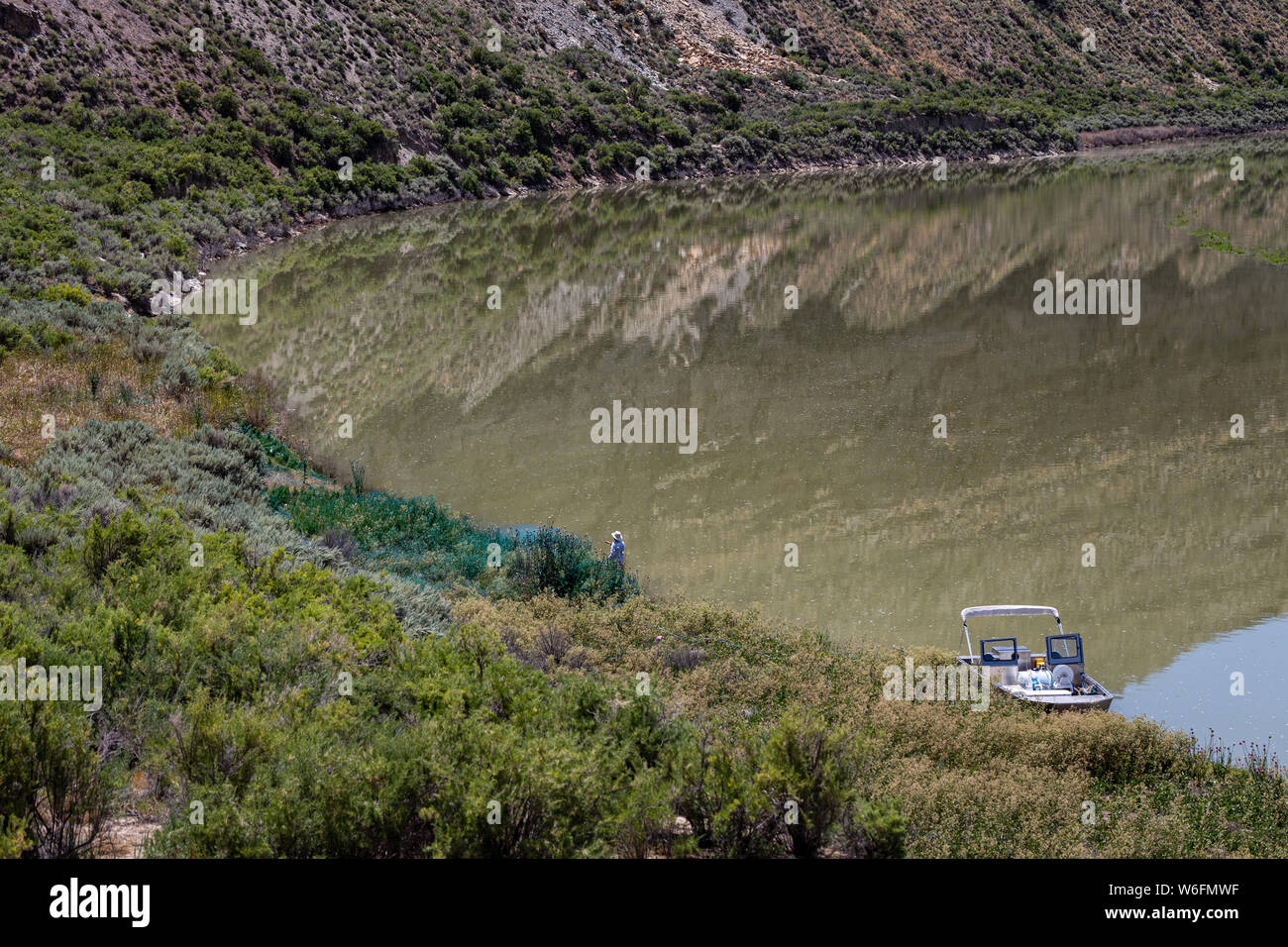 Impianto spray tech vegetazione invasiva lungo le rive del fiume Verde, Wyoming. Foto Stock