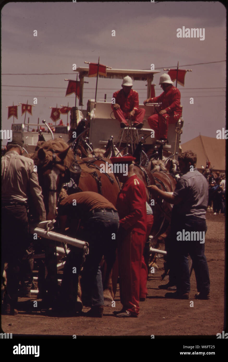 Corso di un mulo-disegnato raramente il carro scorre liscia. Nel centro della vecchia Milwaukee giorni parata annuale, uno dell'esercito muli abbastanza deciso è stato sufficiente. Un po' di pazienza e di strattoni HA OTTENUTO LA SFILATA SUL SUO MODO DI NUOVO Foto Stock