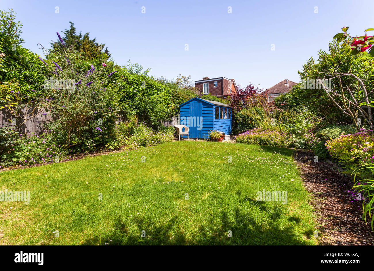 Verde casa giardino con un capannone blu in un angolo, Londra, Inghilterra, Regno Unito. Foto Stock
