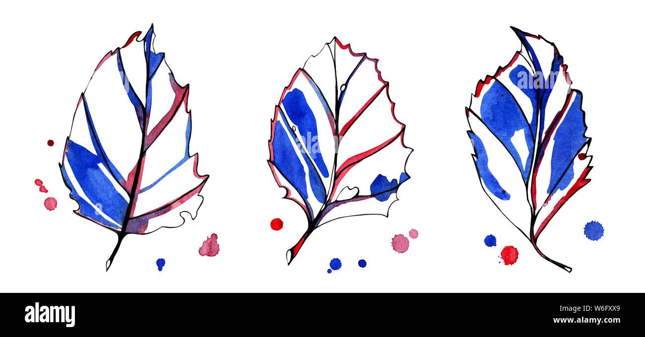 Tre acquerelli grafica stilizzata Foglie di autunno. Dipinti a mano con nero, blu e rosso dell'inchiostro con le prime gocce di colore sullo sfondo. Oggetti isolati Foto Stock