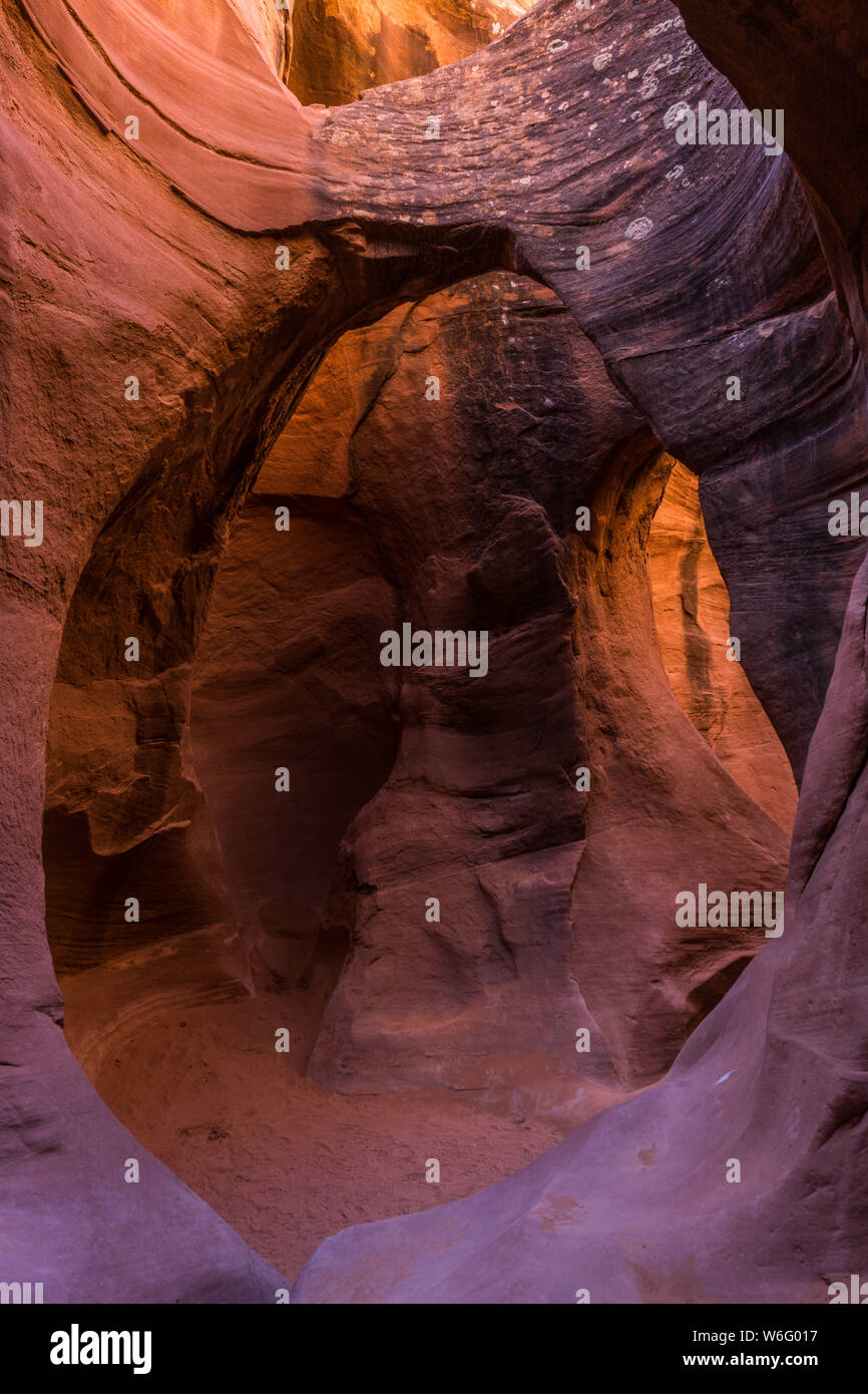 Pieghevole e Spooky Slot archi Canyon Foto Stock