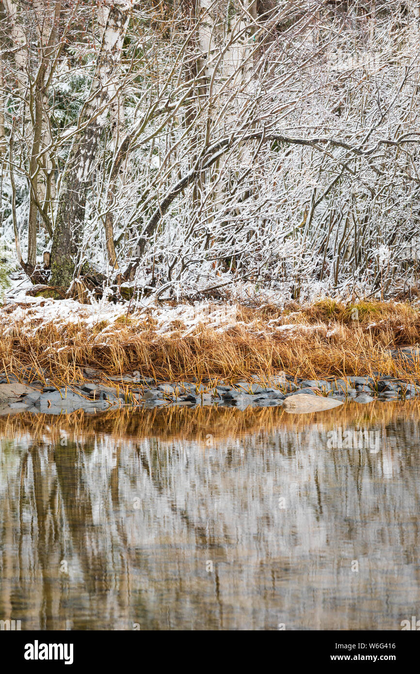 Lago paesaggio dopo la nevicata in Finlandia Foto Stock