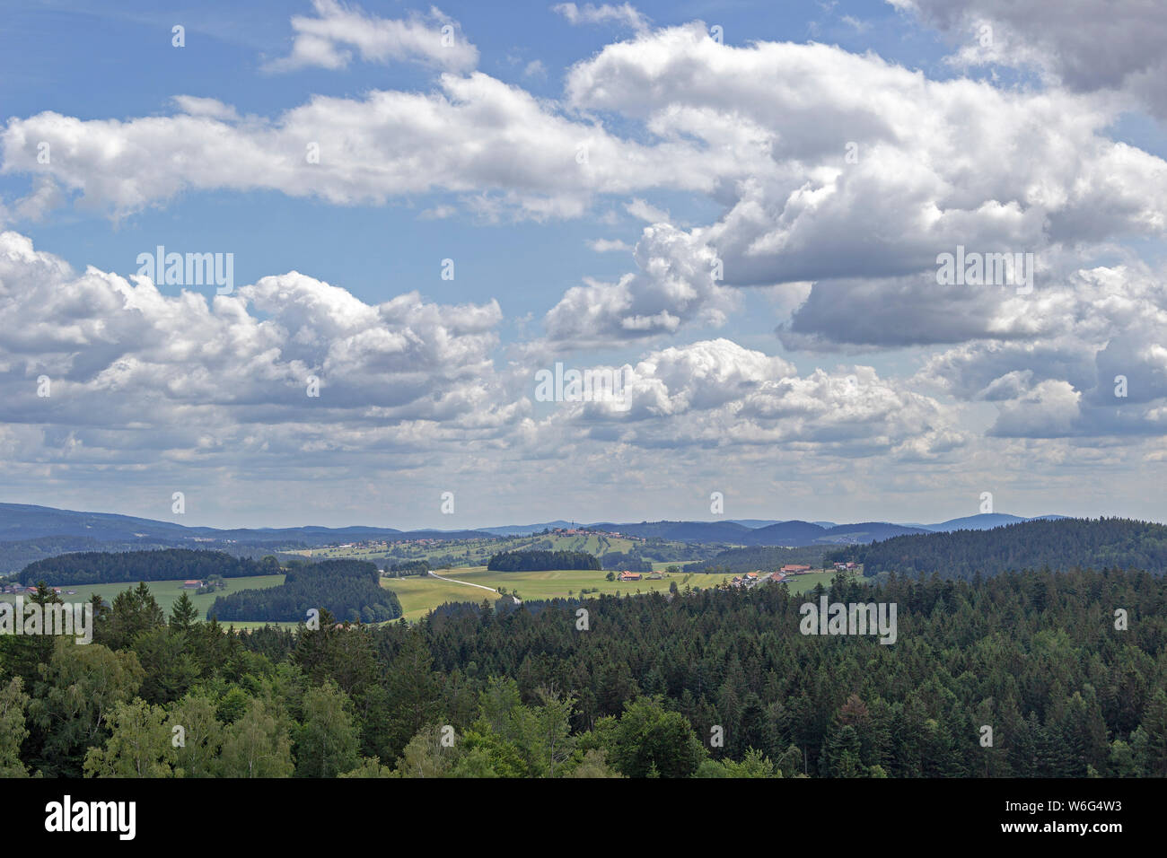 Vista dal look-out del Tree Top Walk, Neuschönau, Parco Nazionale Bayerischer Wald, Baviera, Germania Foto Stock