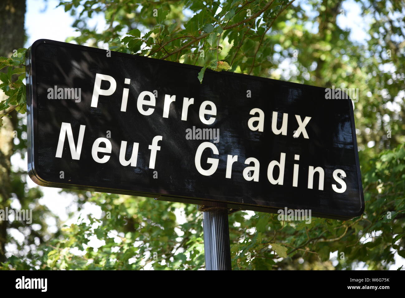 Pierre aux Neuf Gradins nel Dipartimento della Creuse nella regione Nouvelle-Aquitaine nella Francia centrale. Una scala di nove gradini scavati nel granito Foto Stock