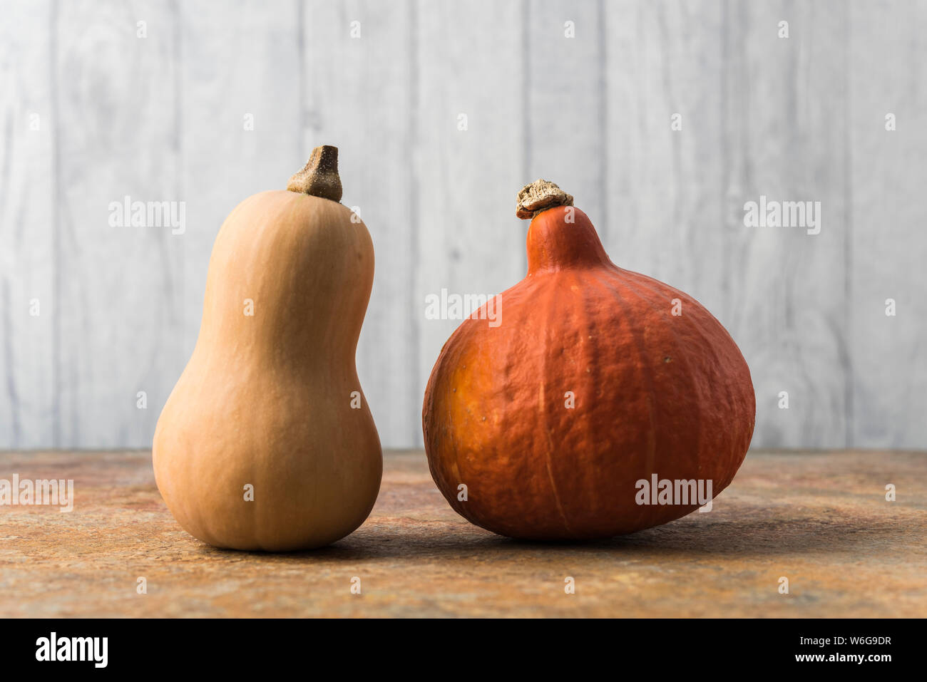 Butternut e cipolla squash ancora in vita. Soft sfondo grigio, caldo, rusty superficie. Foto Stock