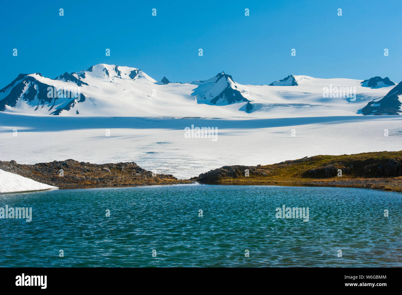 Un laghetto di bollitore senza nome nel Kenai Fjords National Park in una giornata estiva soleggiata; Alaska, Stati Uniti d'America Foto Stock