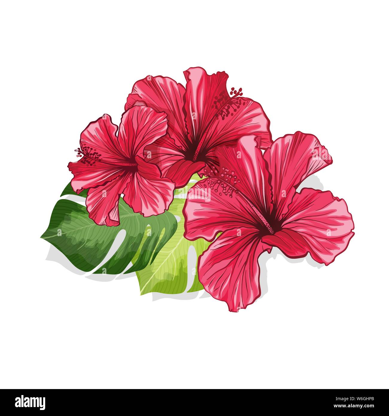 Banner di tè o una scheda con Hawaiian Hibiscus rosso fiore di fragranza. Colore verde brillante foglie vettore sfondo modellato per il confezionamento di tè Print Design. Tropical Illustrazione Vettoriale