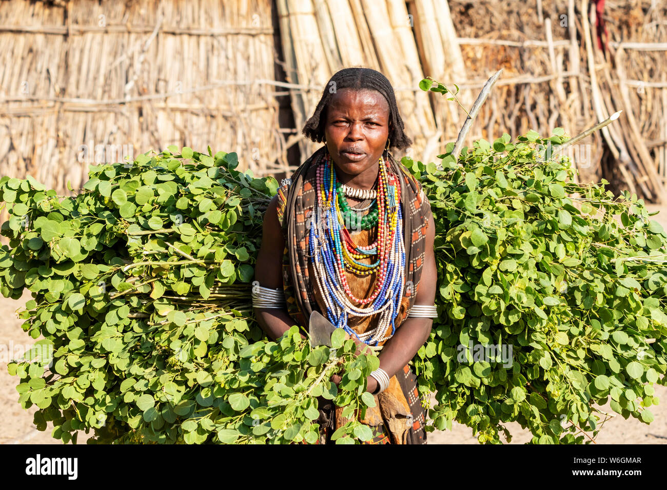 Arbore donna in Arbore Village, Valle dell'Omo; Sud nazionalità delle nazioni e dei popoli " Regione, Etiopia Foto Stock