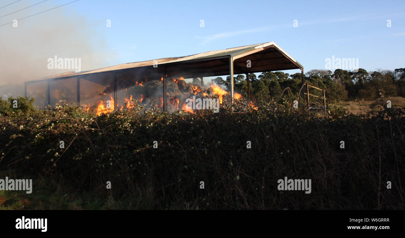 Un tetto dello stagno fienile con un raccolto di fieno che ha preso fuoco Foto Stock