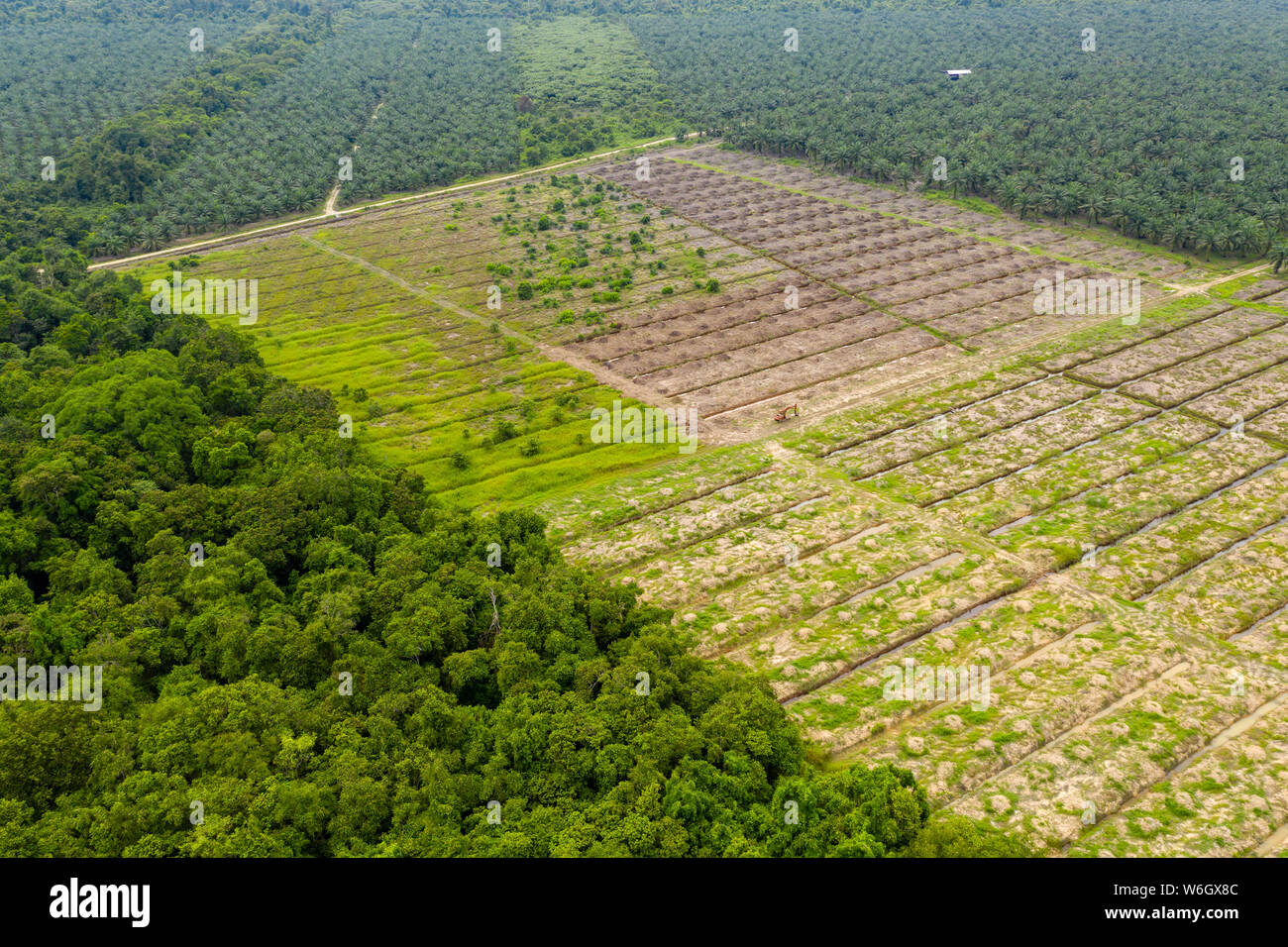 Antenna fuco vista della deforestazione in una foresta pluviale tropicale per fare la strada per palm piantagioni di olio Foto Stock