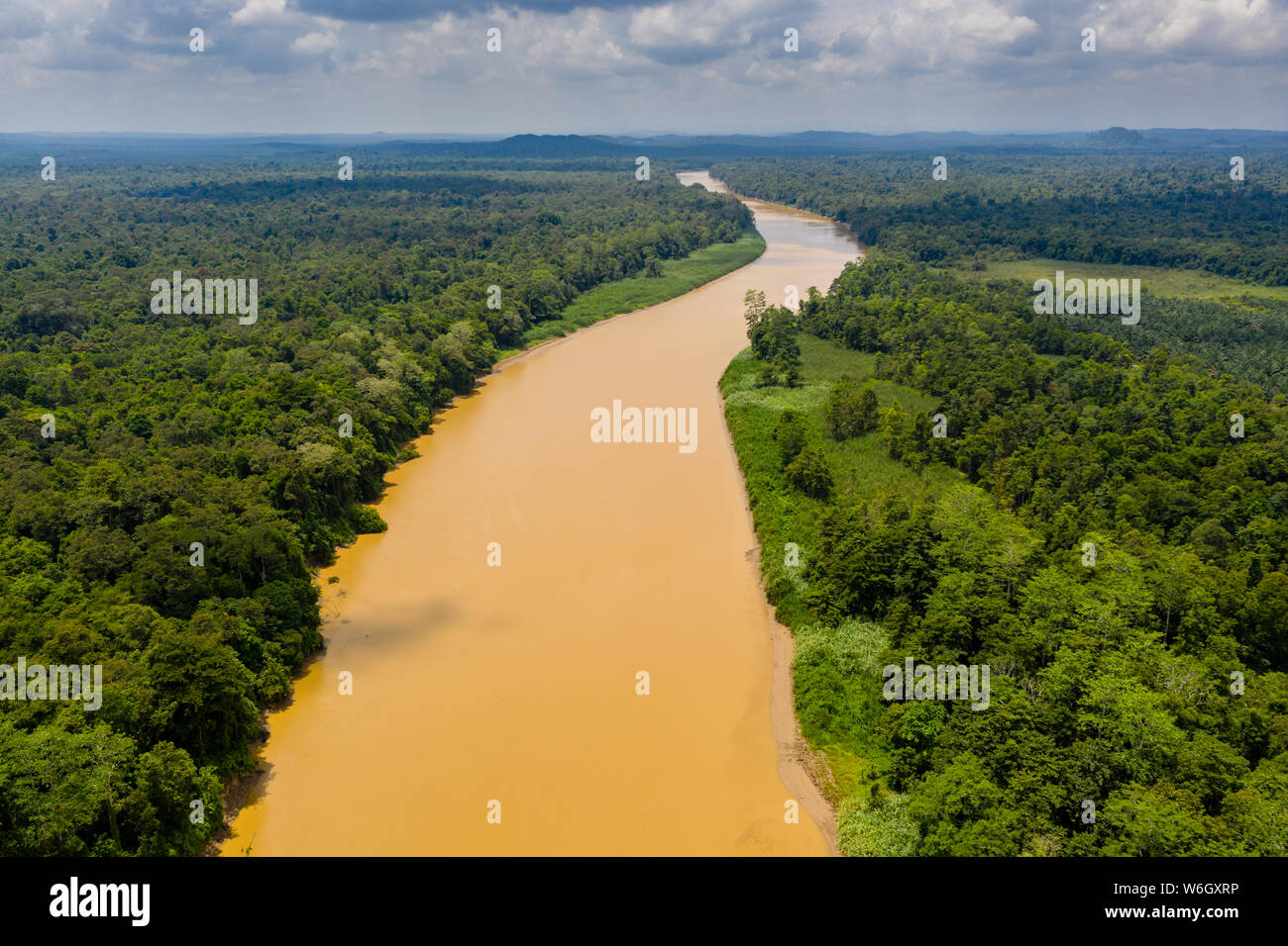 Antenna fuco vista di un lungo, marrone serpeggiante fiume attraverso la foresta pluviale tropicale (fiume Kinabatangan, Borneo) Foto Stock