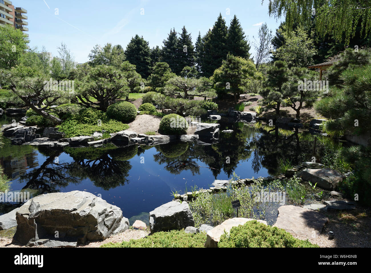 Un piccolo stagno è circondato da molte piante e fiori e alberi in Denver Botanic Gardens. Foto Stock
