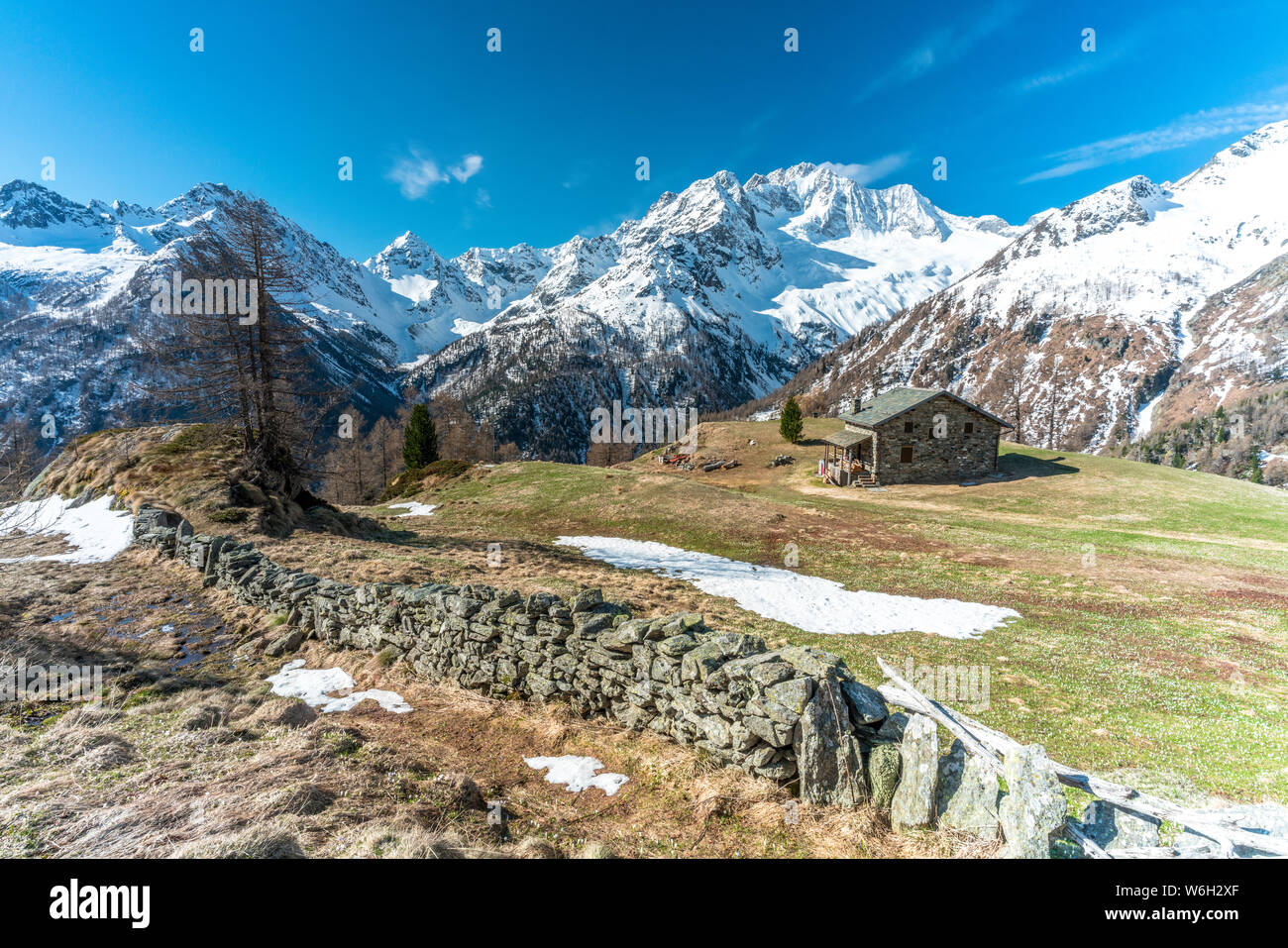 Il Monte Disgrazia e Alpe dell'Oro in primavera, Valmalenco Foto Stock