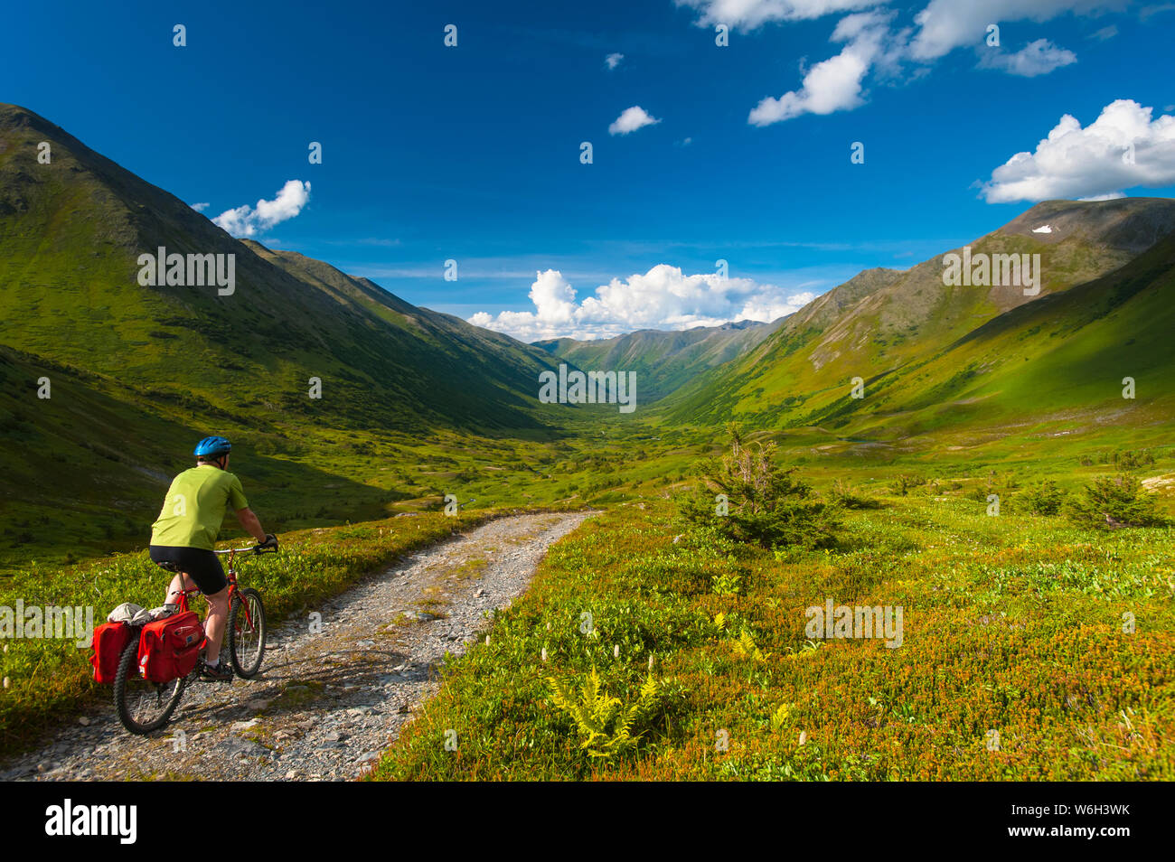 Un uomo in sella alla sua mountain bike sulla Palmer Valley Road vicino alla speranza, Alaska su una soleggiata giornata estiva nel centro-sud della Alaska Foto Stock