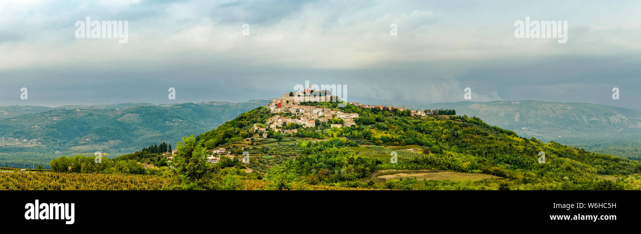 Vigneti circostanti la collina del borgo medievale di Montona; Montona, Istria, Croazia Foto Stock