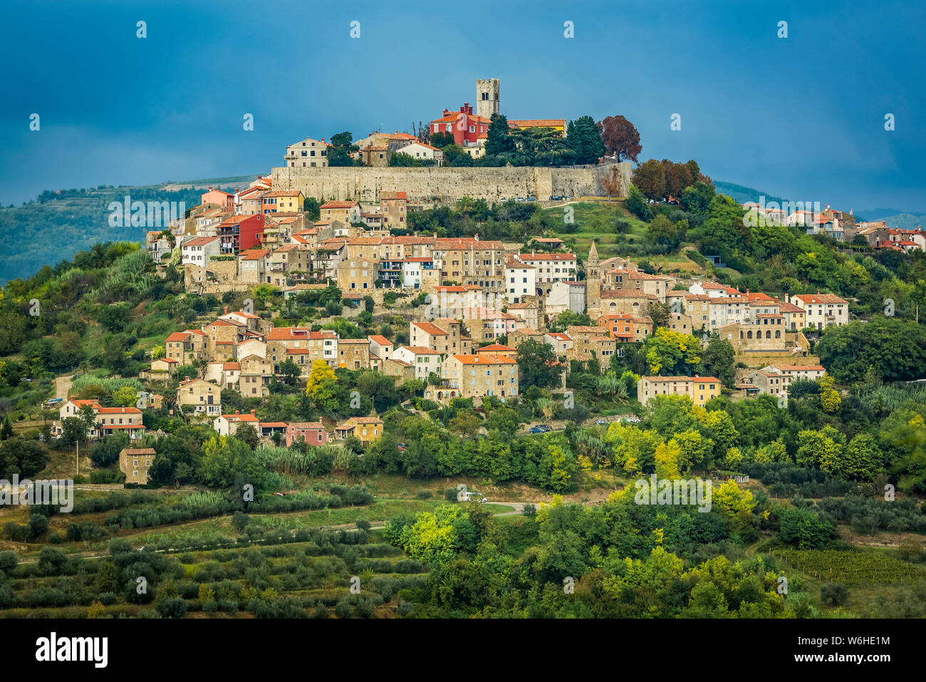 Vigneti circostanti la collina del borgo medievale di Montona; Montona, Istria, Croazia Foto Stock