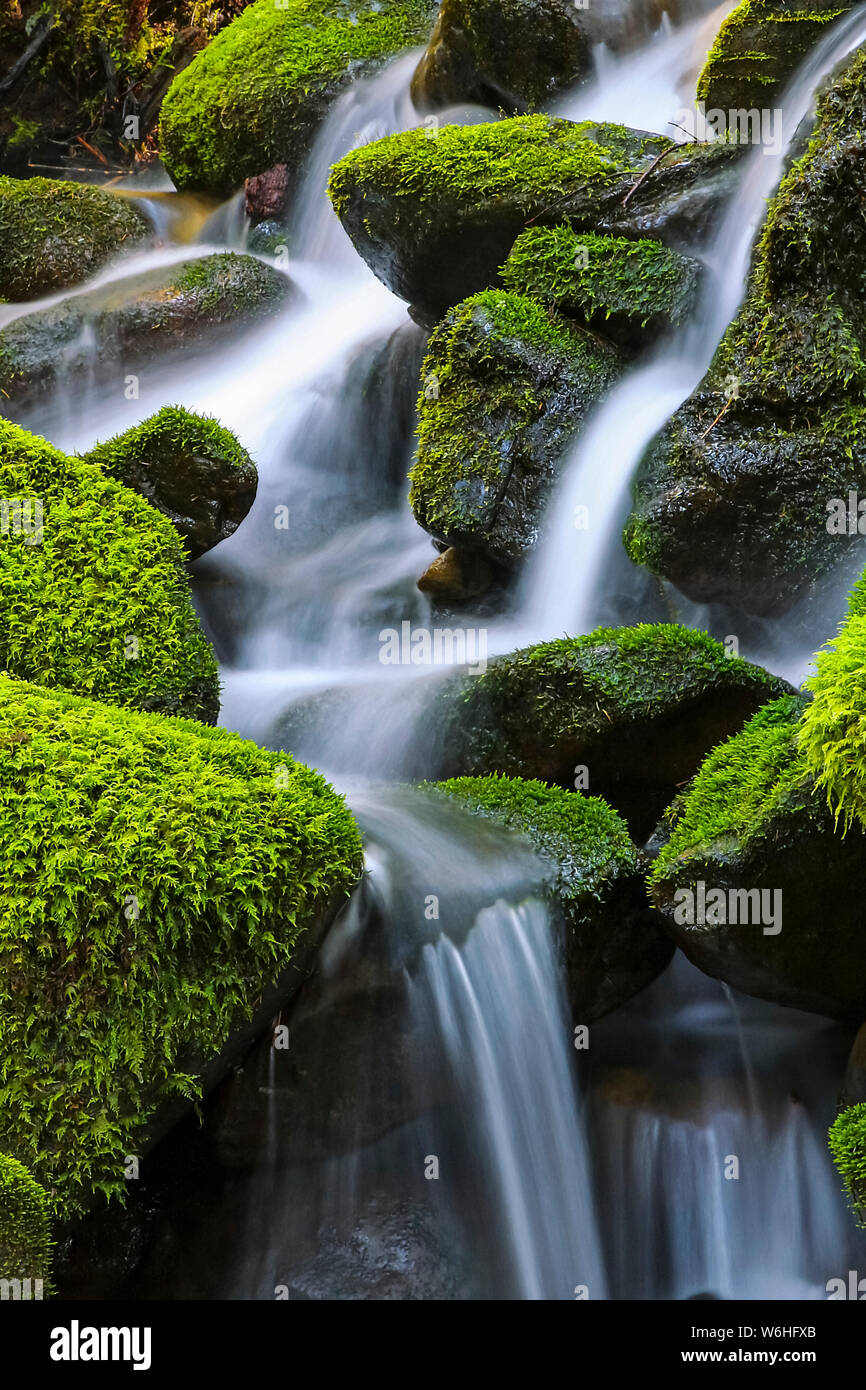 Moss-rocce coperte con cascata d'acqua; Denver, Colorado, Stati Uniti d'America  Foto stock - Alamy