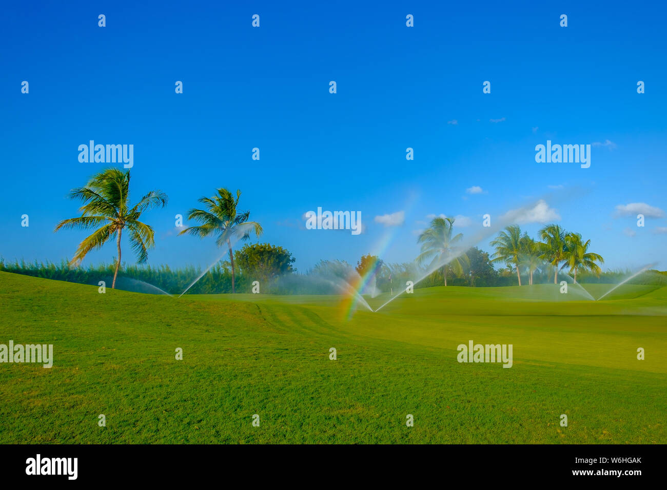 Campo da golf sull'isola di Grand Cayman essendo acqua, Isole Cayman Foto Stock