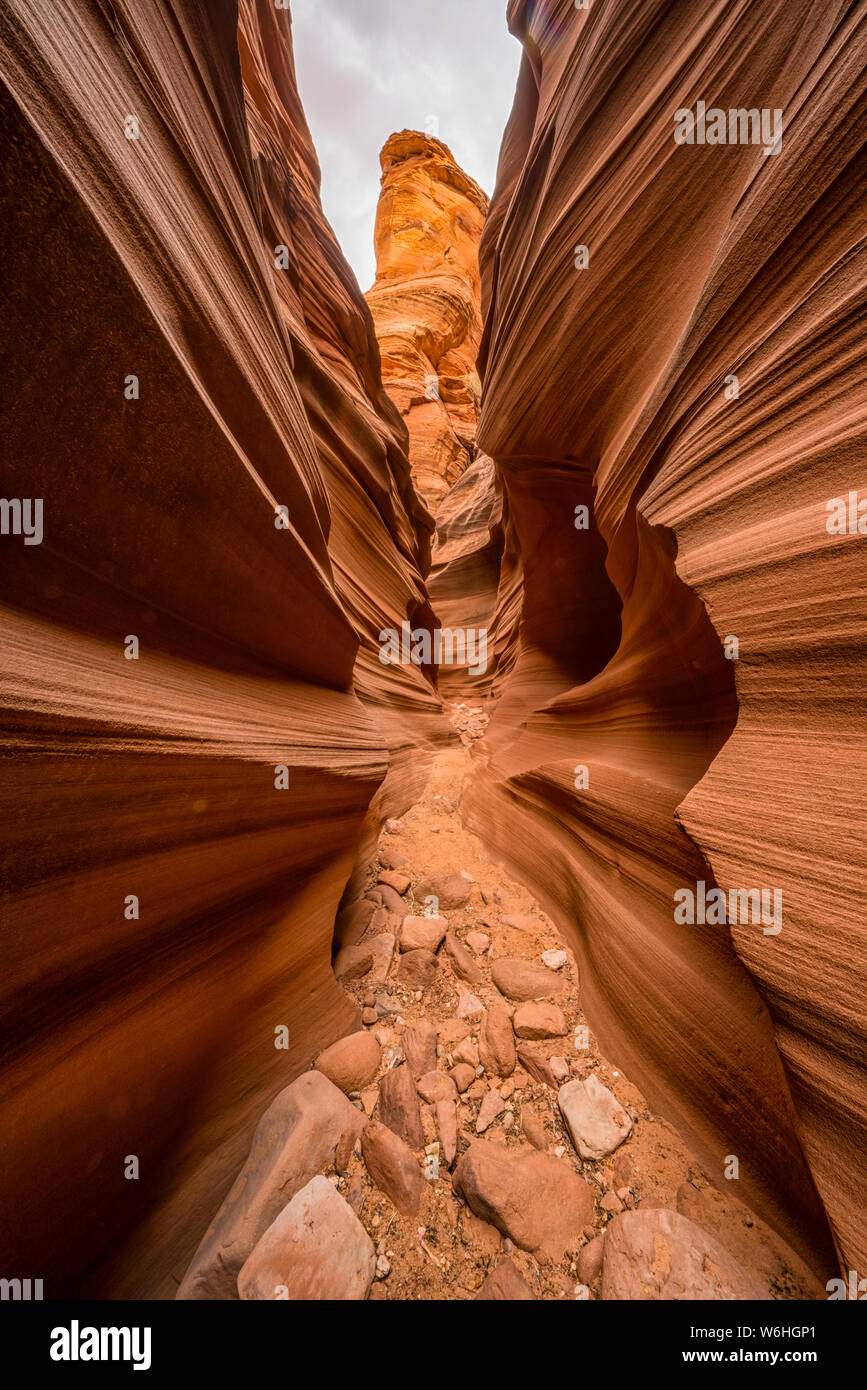 Slot Canyon noto come le pecore di montagna Canyon; Pagina, Arizona, Stati Uniti d'America Foto Stock