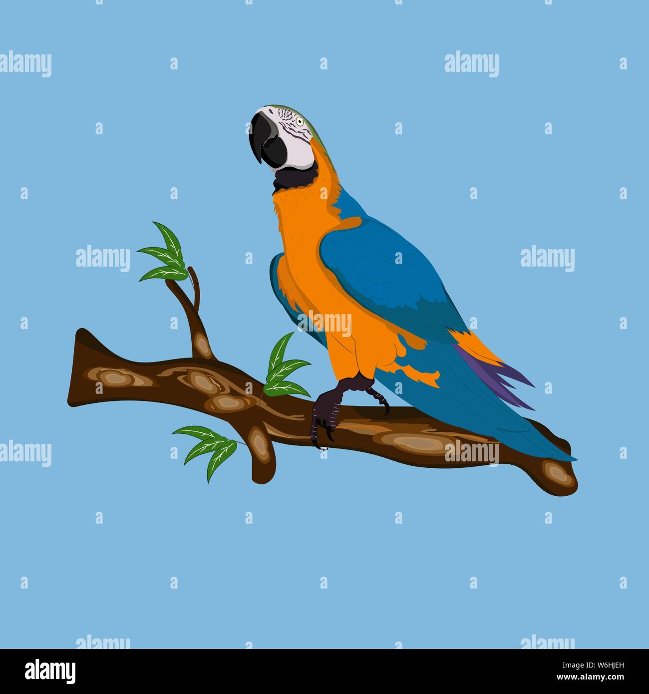 Uccello blu-giallo macaw in piedi sui rami illustrazione vettoriale isolare lo sfondo blu. Illustrazione Vettoriale