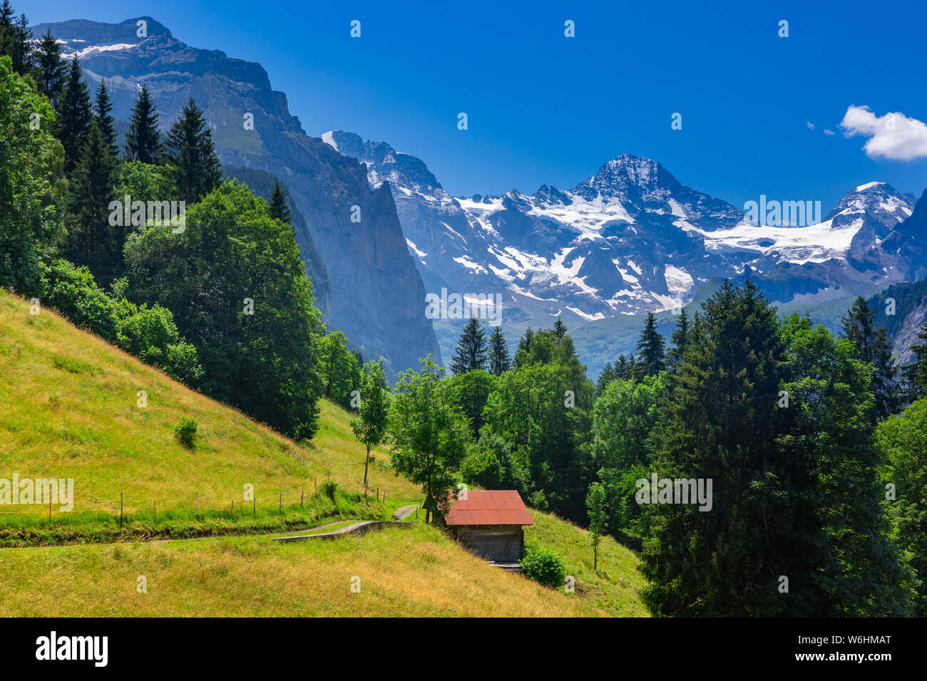 Villaggio montano di Wengen, Svizzera Foto Stock