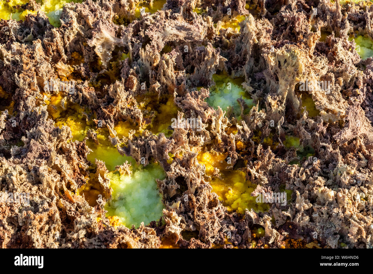 Acida sorgenti calde e geyser, formazioni minerali, dei depositi di sale nel cratere del vulcano Dallol, Danakil depressione; regione di Afar, Etiopia Foto Stock