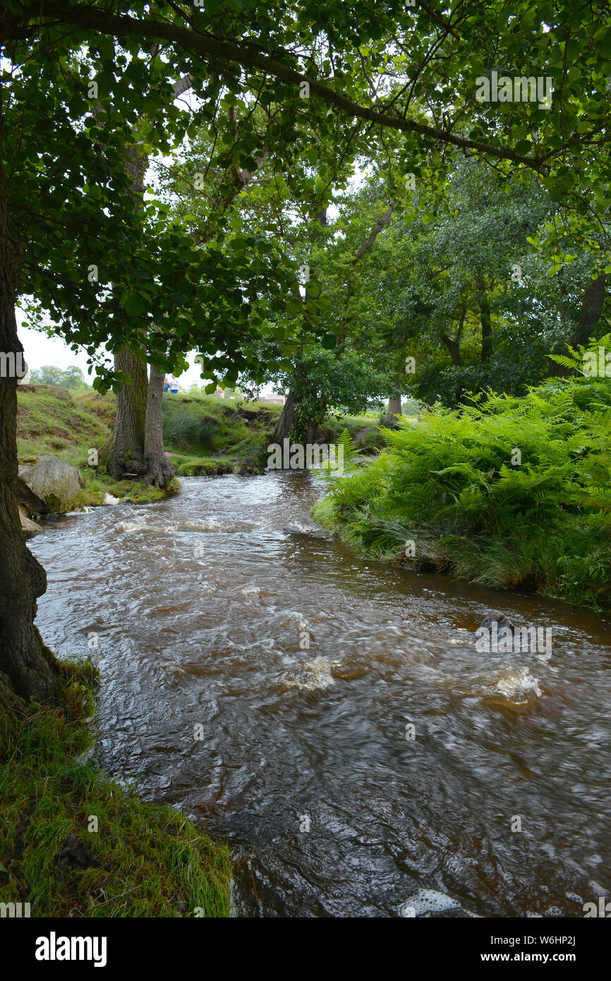 Bella vista del fiume Lin in autunno, Leicestershire, Regno Unito Foto Stock