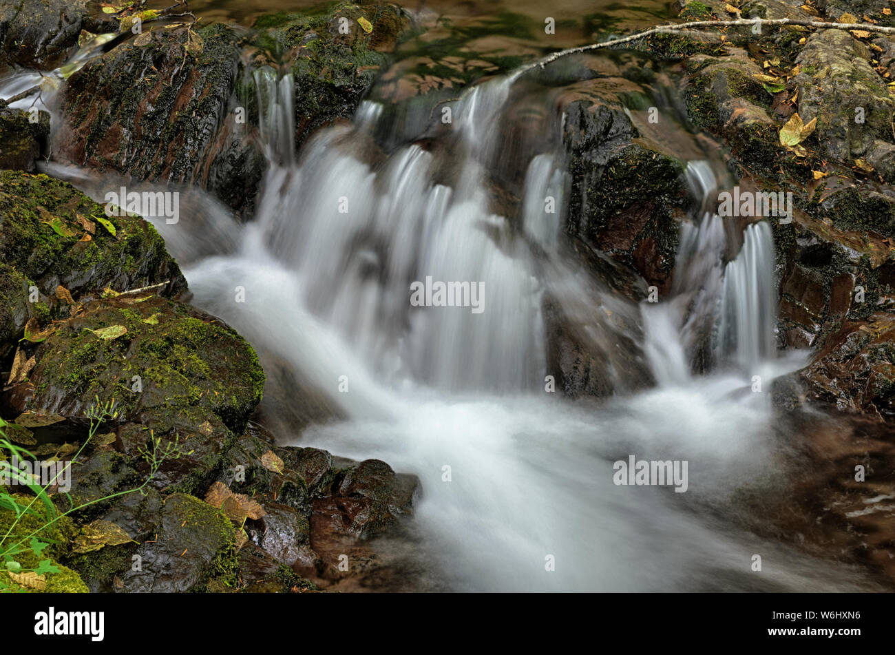 O: Lane County, Cascades Range, Dorena Comunità, recante Creek. Rapids in posa Creek in cascate Mtns, il Bureau of Land Management (BLM) terre Foto Stock