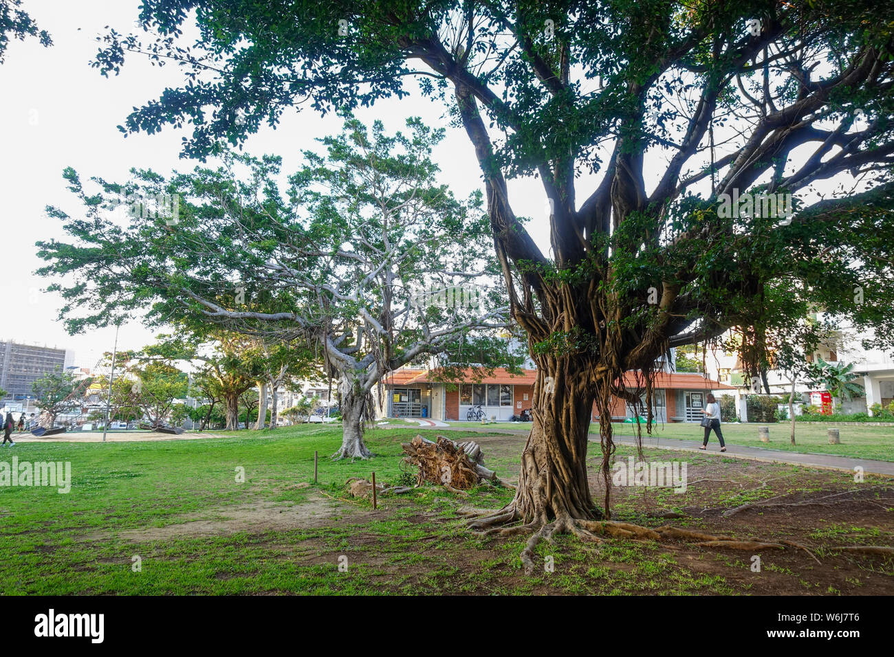 Parco nella città di Naha, Prefettura di Okinawa, in Giappone Foto Stock