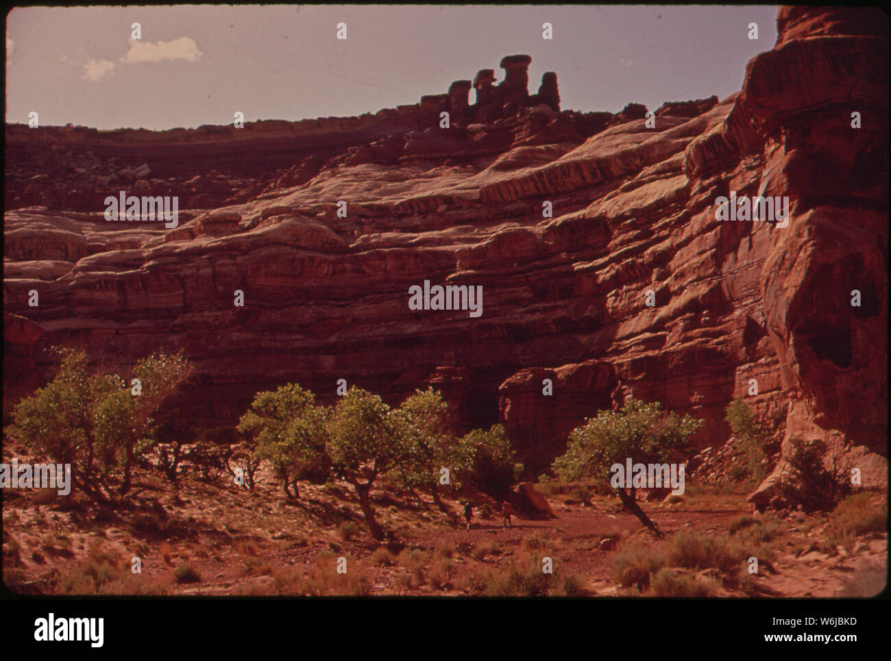 Valle principale piano del labirinto, un telecomando e il robusto REGIONE NEL CENTRO DEL CANYONLANDS. Esso contiene solo uno o due sentieri fruibili da cavalli. Gli escursionisti immettere per mezzo di funi, o gradini tagliati nella roccia Foto Stock