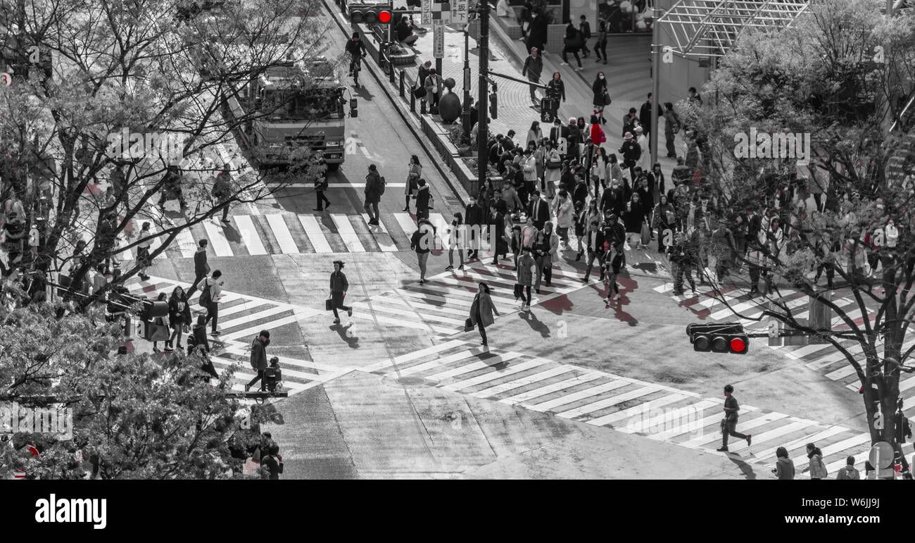 Shibuya crossing, folle a intersezione, molte persone attraversare le strisce pedonali, semaforo rosso, bianco e nero, Shibuya, Udagawacho, Tokyo, Giappone Foto Stock