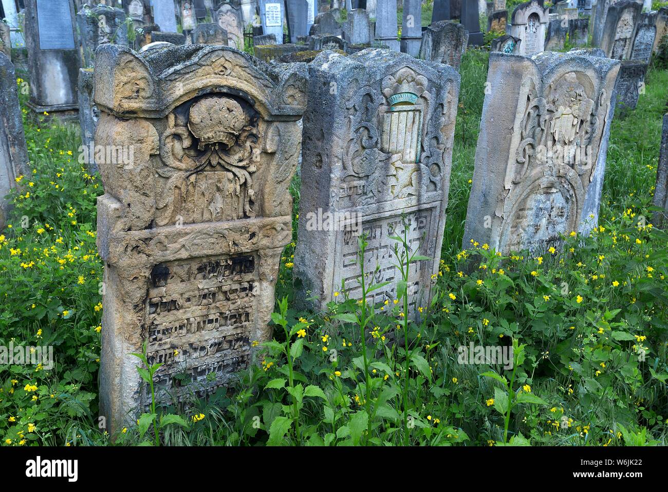 Lapidi, cimitero ebraico, Czernowicz, Bukowina, Ucraina Foto Stock