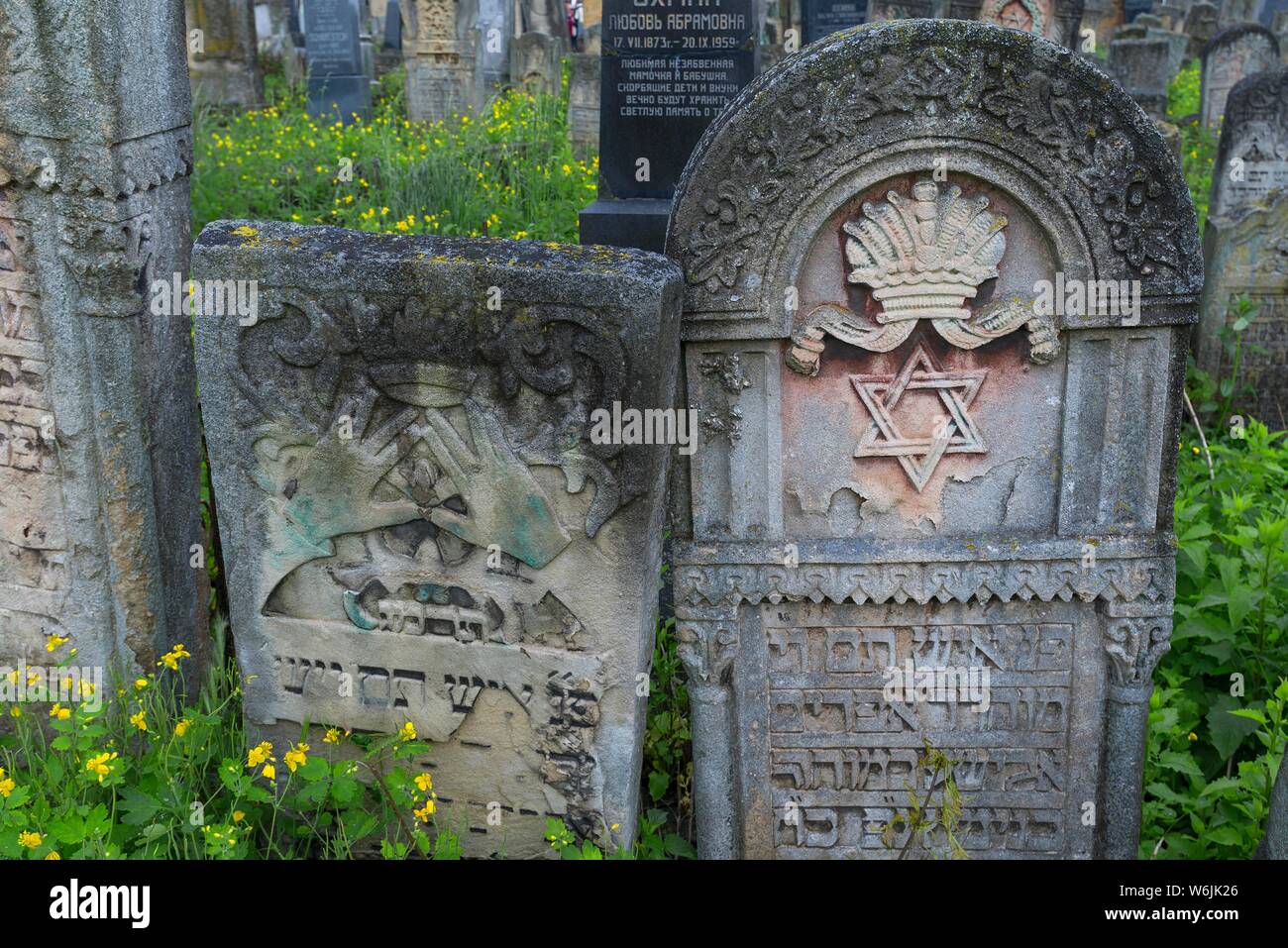 Vecchie lapidi, cimitero ebraico, Czernowicz, Bukowina, Ucraina Foto Stock