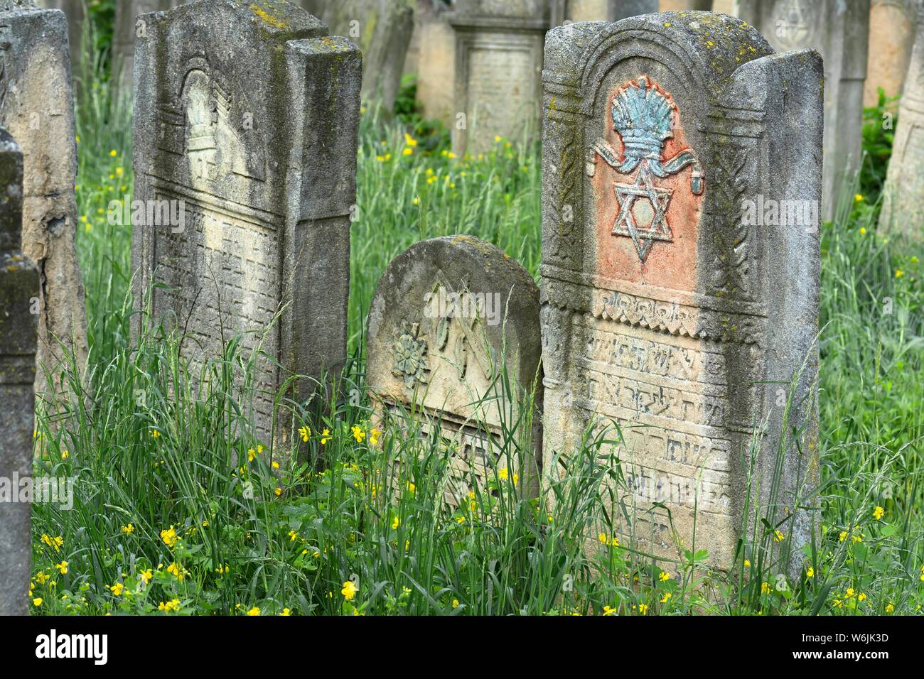 Lapidi, cimitero ebraico, dal 1866, Czernowicz, Bukowina, Ucraina Foto Stock