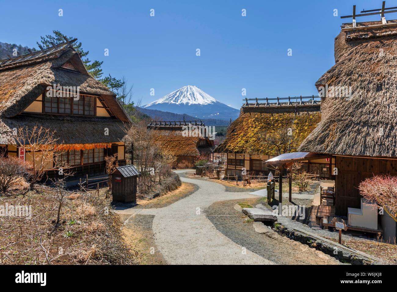 Open-air museum Iyashinosato, vecchio villaggio Giapponese con le tradizionali case in paglia, back vulcano Mt. Fuji, Fujikawaguchiko, Giappone Foto Stock