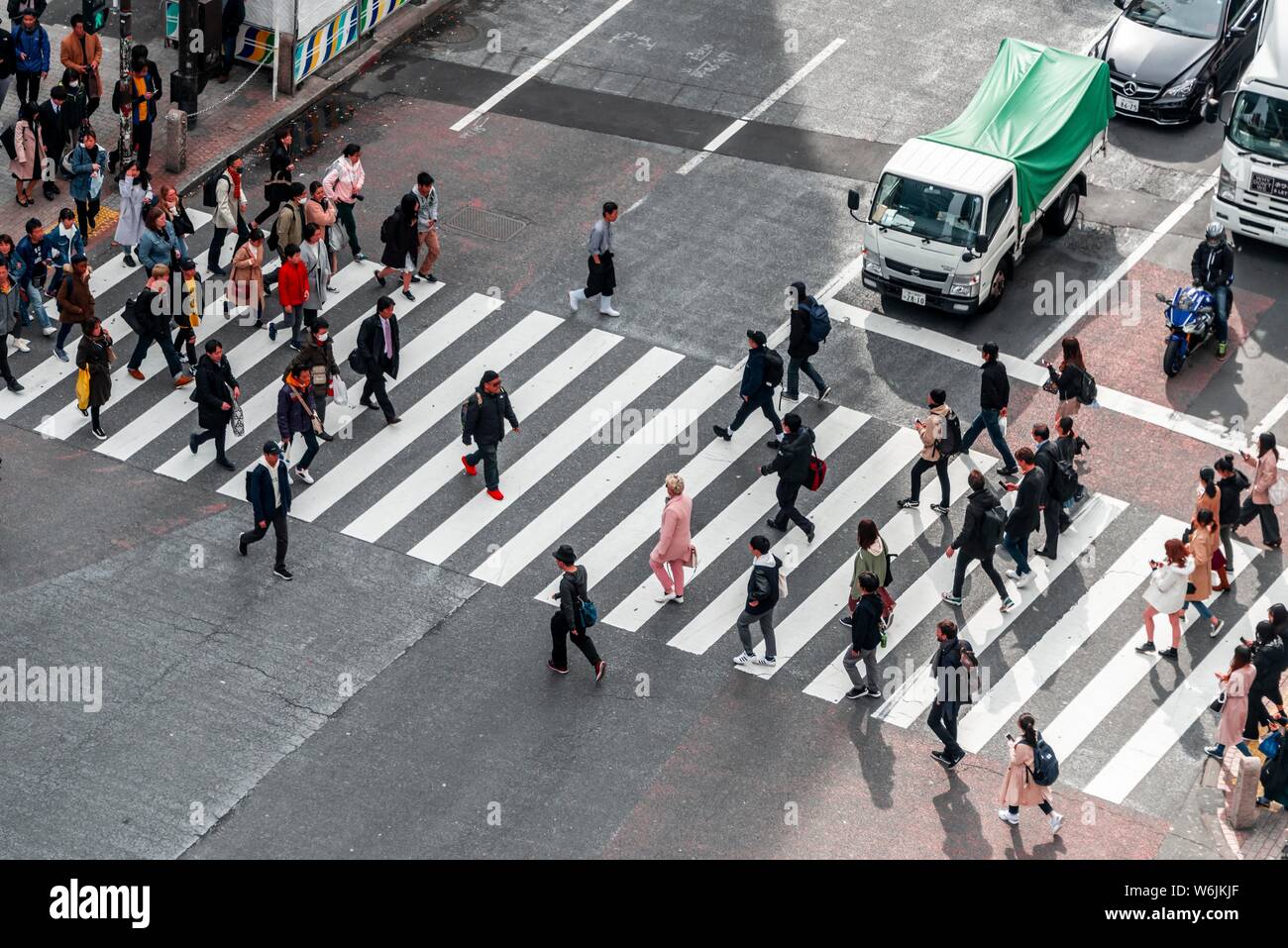 Traversata da sopra, molte persone a piedi attraverso zebra Crossings at traversata, Bunkamura-Dori, Shibuya, Udagawacho, Tokyo, Giappone Foto Stock